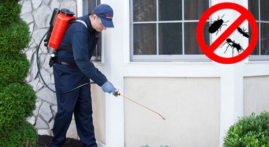 Dernekpazarı Hamam Böceği İlaçlama böcek ilaçlama ve haşere kontrolü — ilaclama-tr.com